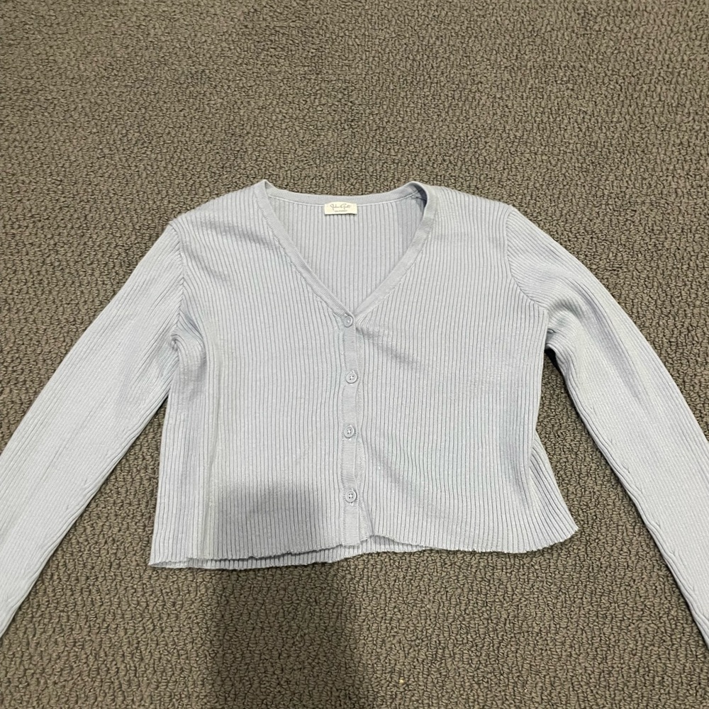 Brandy Melville cropped light blue button-up sweater